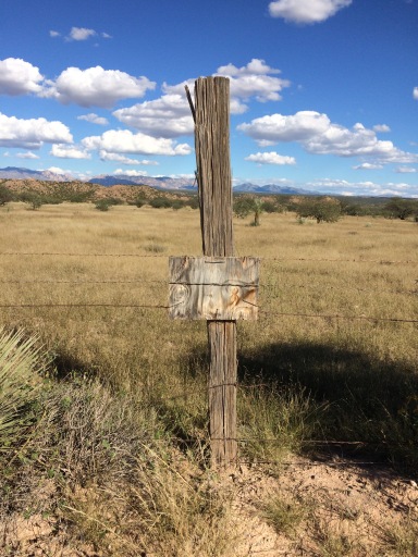 desert fence and sign